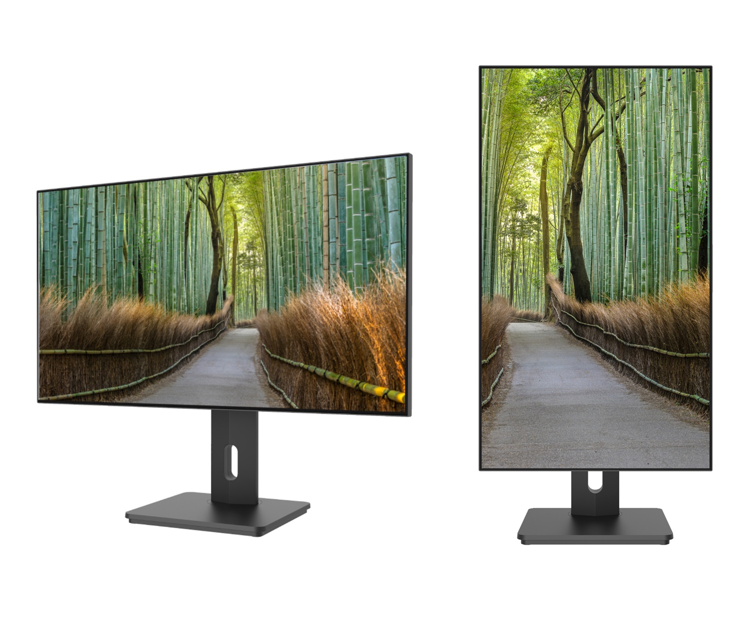 JAPANNEXT Monitor 27 IPS Frameless WQHD 2560x1440 | HDR | Altezza e inclinazione regolabili | Altoparlanti integrati | Flicker Free | G-Sync/FreeSync