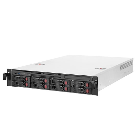 SilverStone Technology SST-RM22-308 Server Rack per 8 HDD/SSD 2.5/3.5