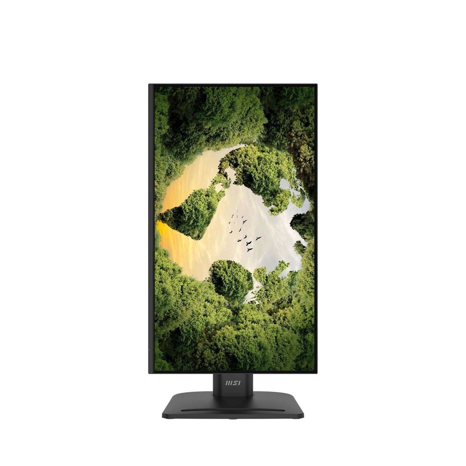 MSI Monitor PRO MP245PGN E14 23.8