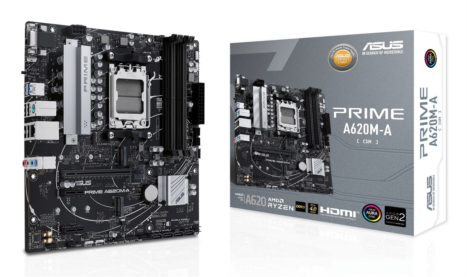 ASUS PRIME A620M-A-CSM Scheda madre micro ATX AMD A620 Socket AM5 DDR5, 2 slot M.2, DisplayPort, HDMI, VGA, USB 3.2 Gen 1 Type-C, SATA 6 Gbps, fino a 128 GB RAM