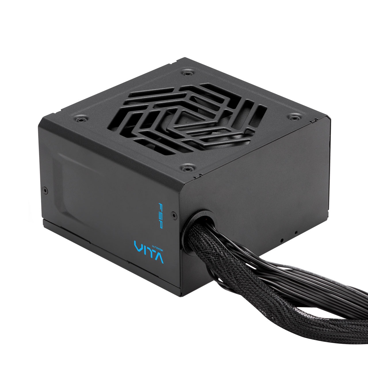 FSP Alimentatore Fortron VITA GD 550W - 550 Watt, 20 4 pin ATX, 4x PCIe, Nero