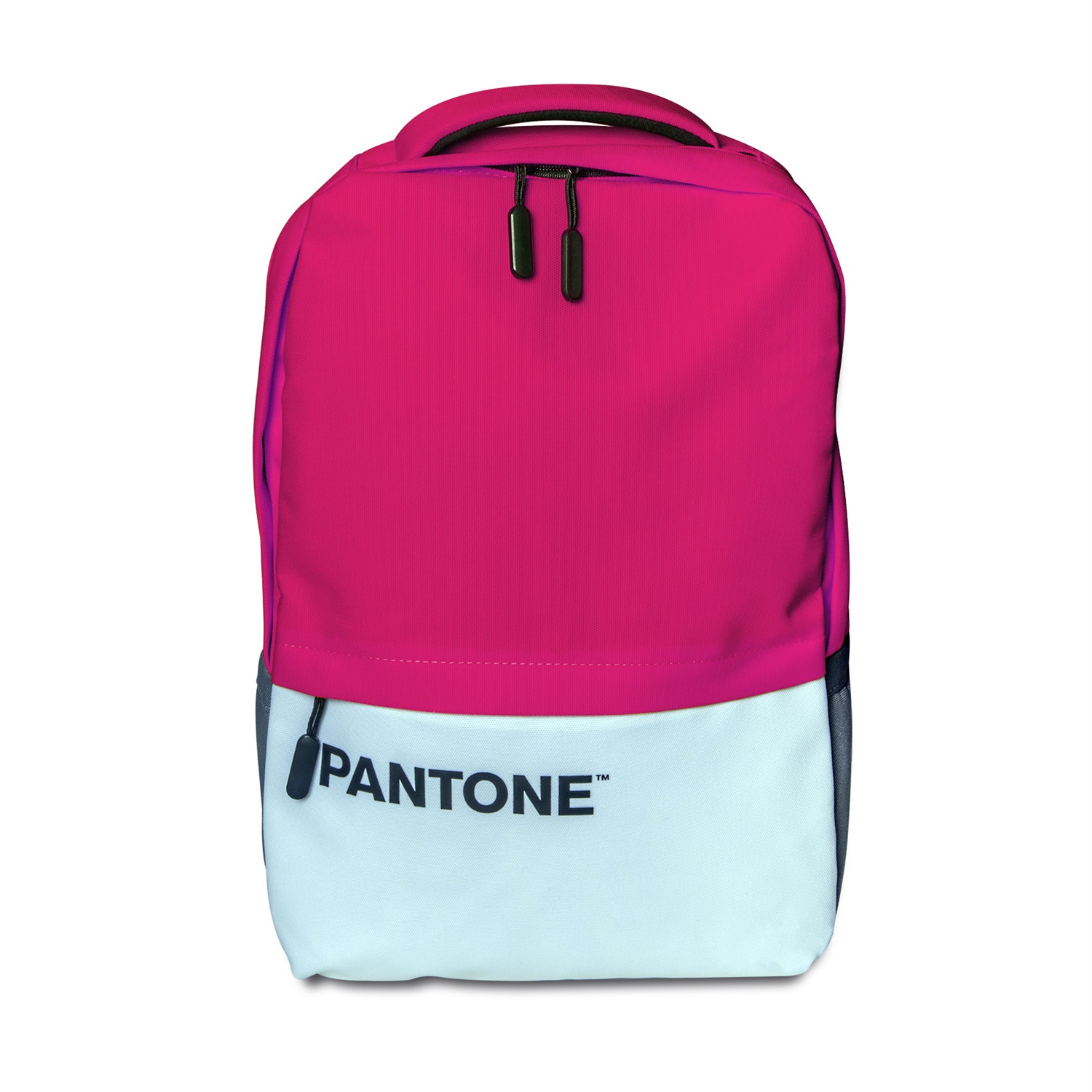 Pantone Celly Zaino Porta PC 15.6'' Rosa con USB Ricarica, Comparti Protettivi, Comodo e Capiente per Lavoro, Viaggio e Scuola