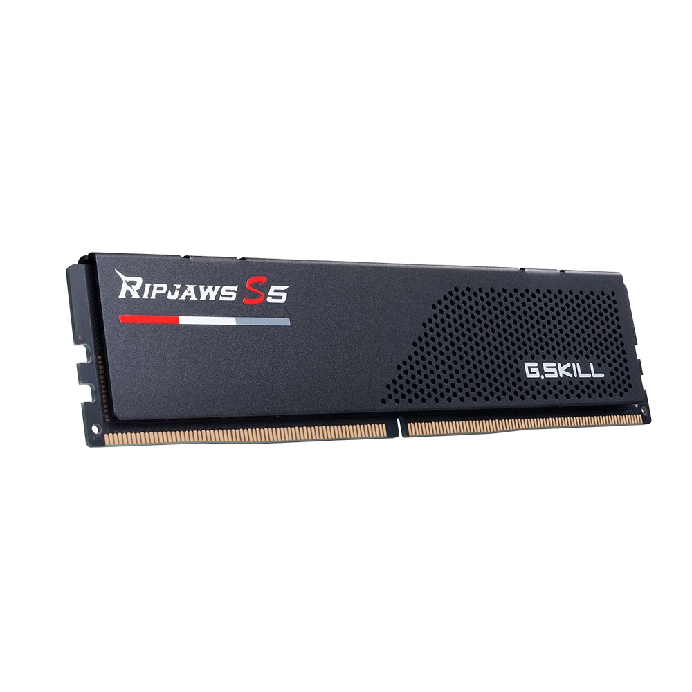 G.Skill Ripjaws V F5-6000J3238F16GX2-RS5K - Memoria RAM 32 GB (2 x 16 GB) DDR5 6000 MHz CL32 288-pin DIMM
