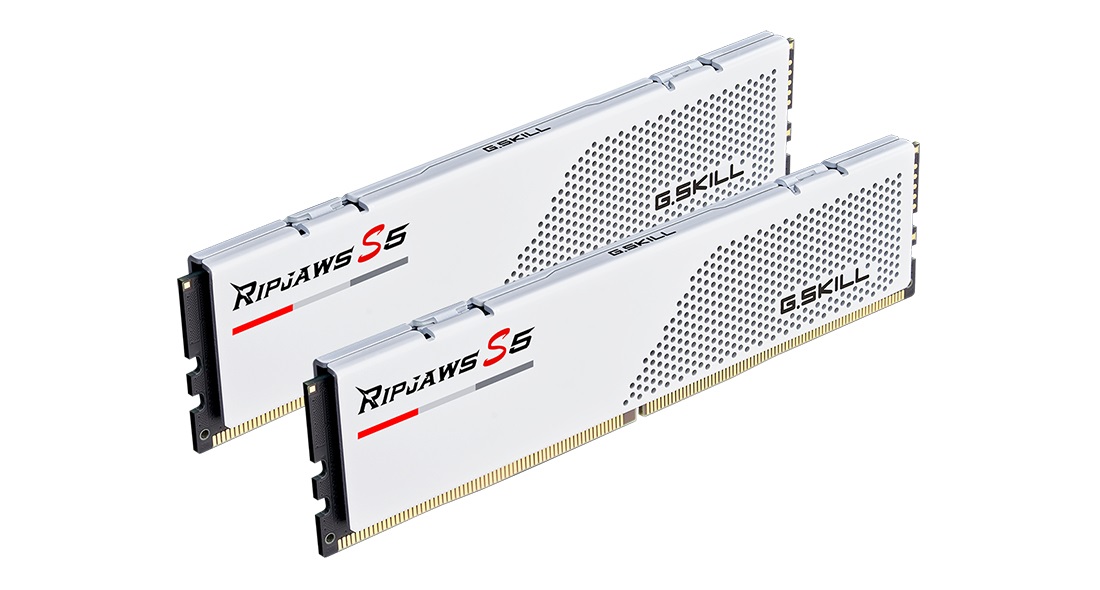 G.Skill Ripjaws S5 64 GB (2 x 32 GB) DDR5 5600 MHz CL36 Bianco - F5-5600J3636D32GX2-RS5W