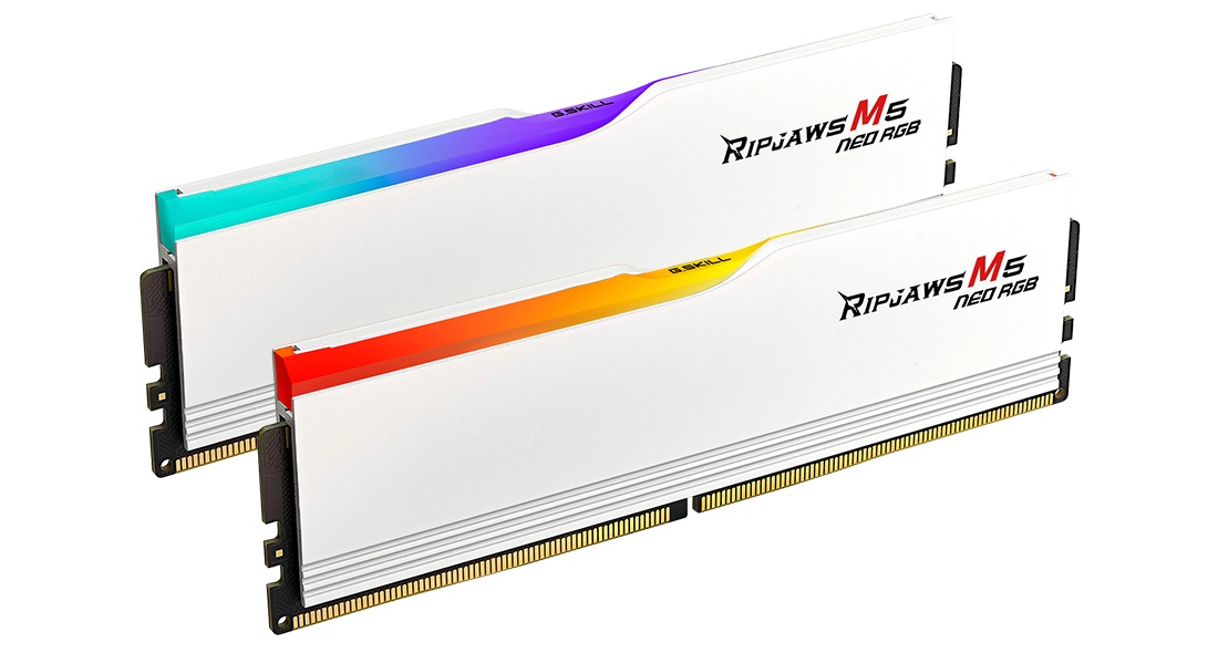 G.Skill Ripjaws M5 Neo RGB 64 GB (2 x 32 GB) DDR5 6000 MHz CL36 RAM con Illuminazione RGB