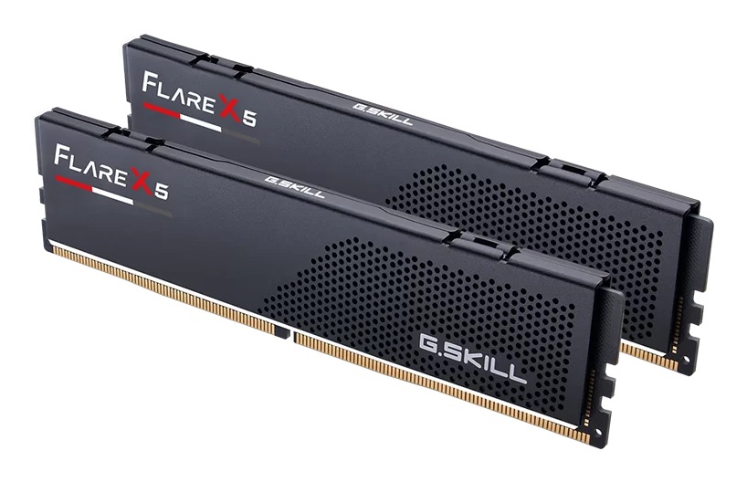 G.Skill Flare X5 64 GB (2 x 32 GB) DDR5 5200 MHz CL40 RAM con supporto AMD EXPO