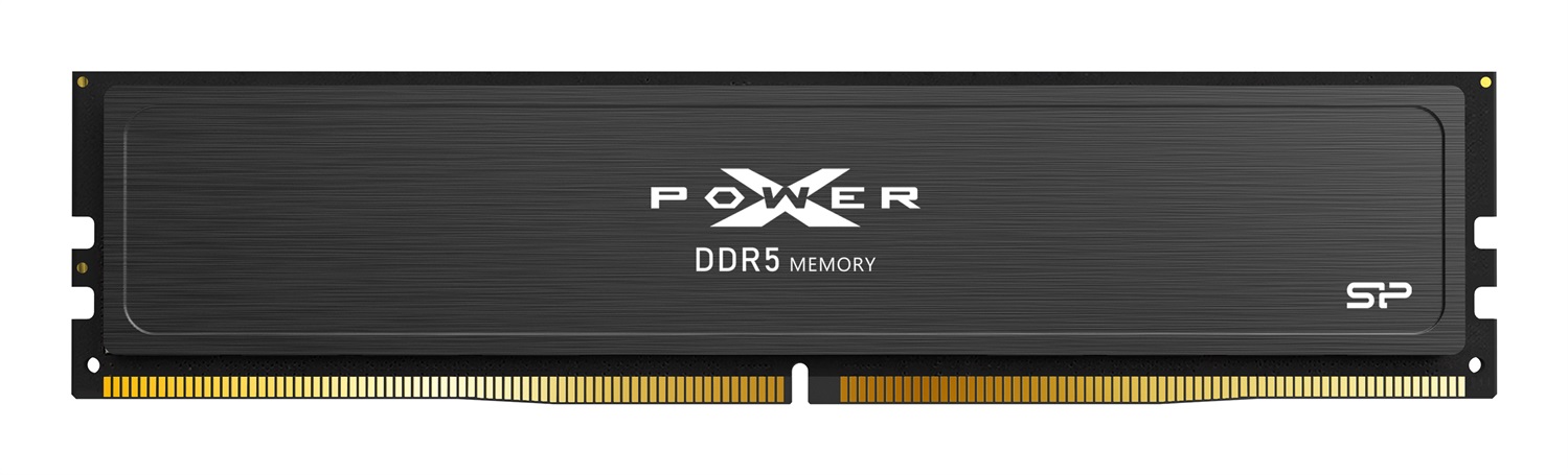 Silicon Power XPOWER Pulse Memoria RAM 32 GB (2 x 16 GB) DDR5 6000 MHz ECC CL30 con Data Integrity Check