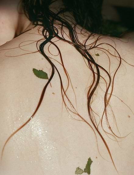 MÁDARA Wild Woods Gel Doccia Idratante 500 ml - Pulisce e Idrata con Ingredienti Biologici