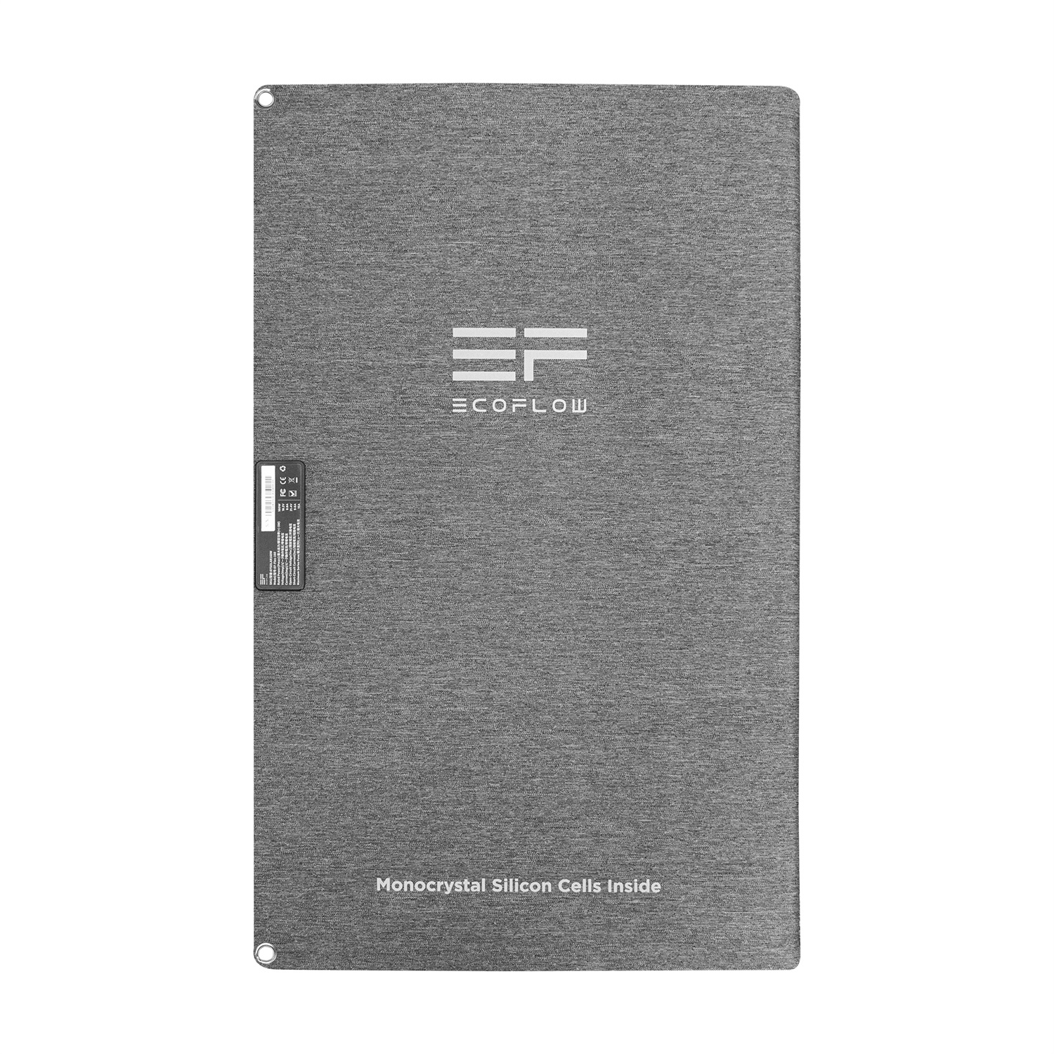 EcoFlow Pannello Solare Monocristallino 160W Portatile e Pieghevole con Custodia e Cavalletto Regolabile, Impermeabile IP67