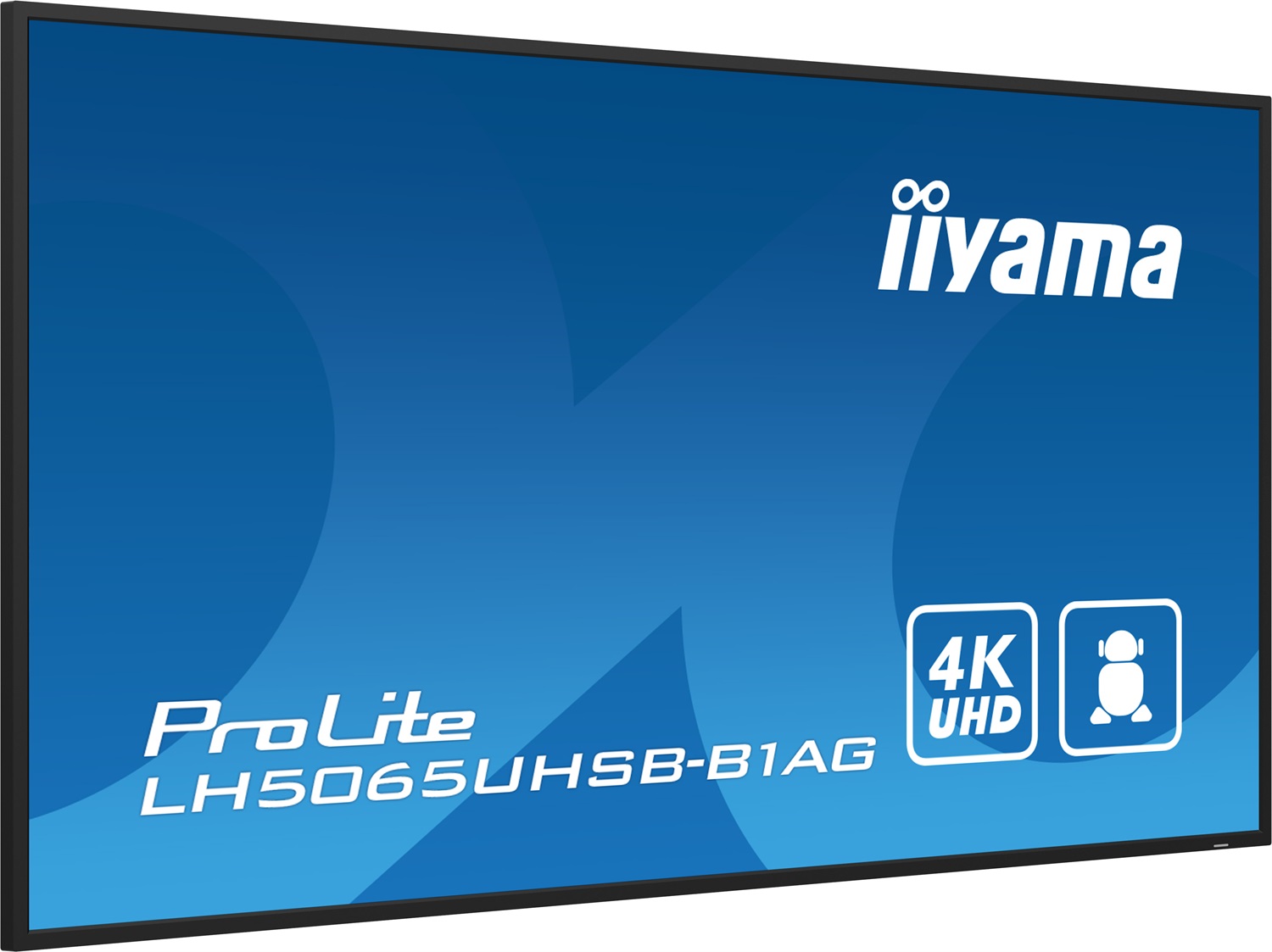 Iiyama ProLite LH5065UHSB-B1AG Monitor 50
