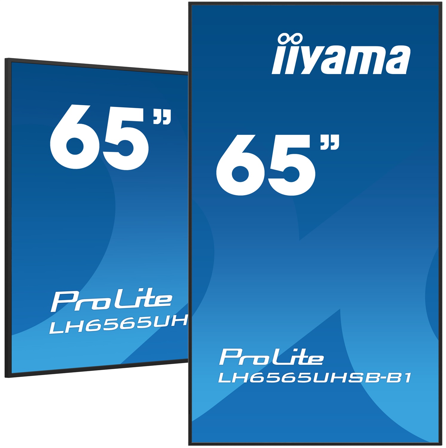 iiyama LH6565UHSB-B1 Monitor Professionale 64.5