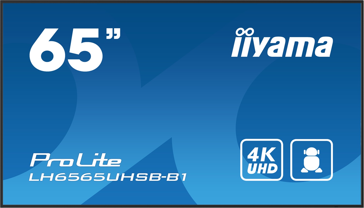 iiyama LH6565UHSB-B1 Monitor Professionale 64.5