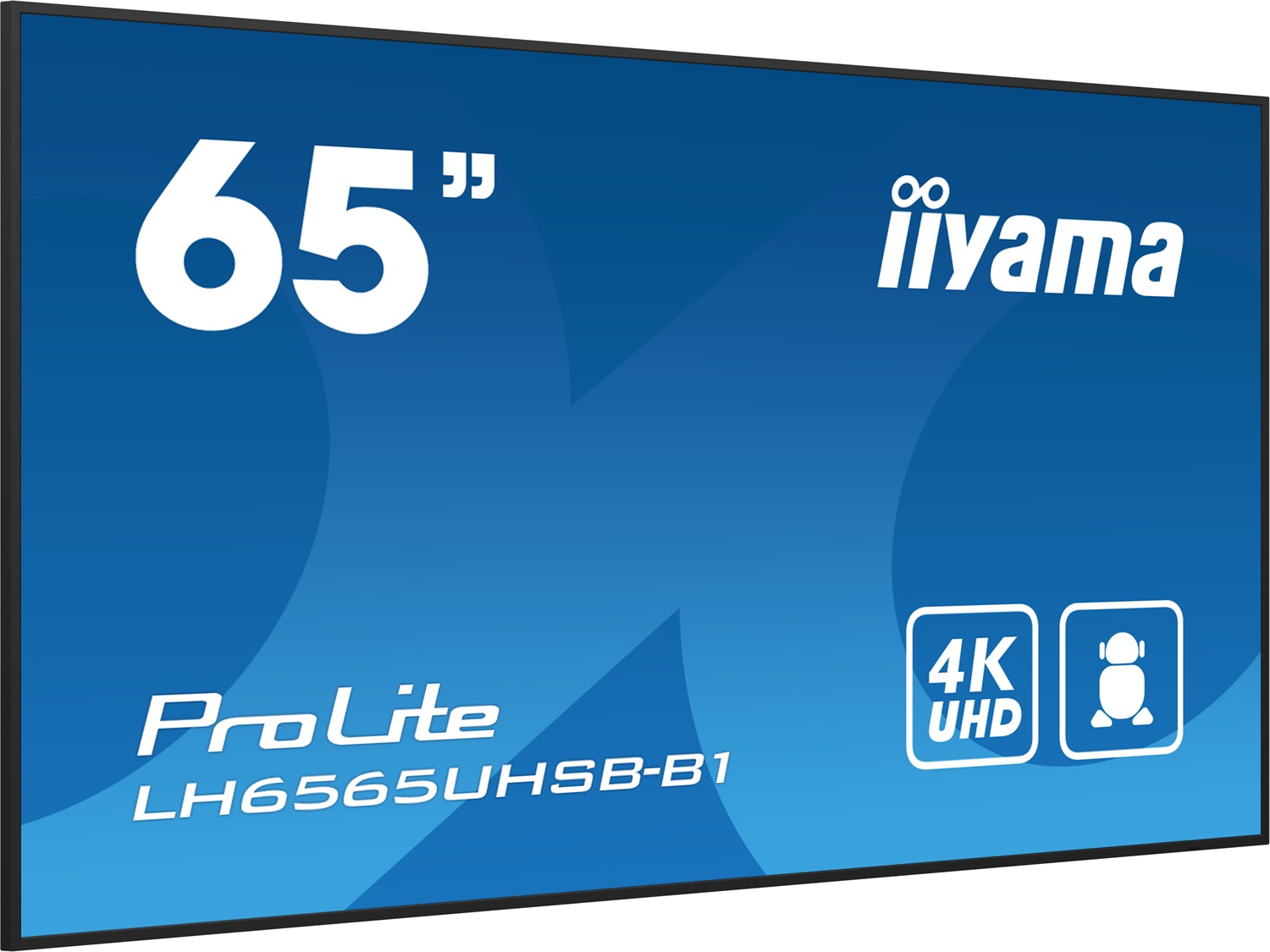 iiyama LH6565UHSB-B1 Monitor Professionale 64.5