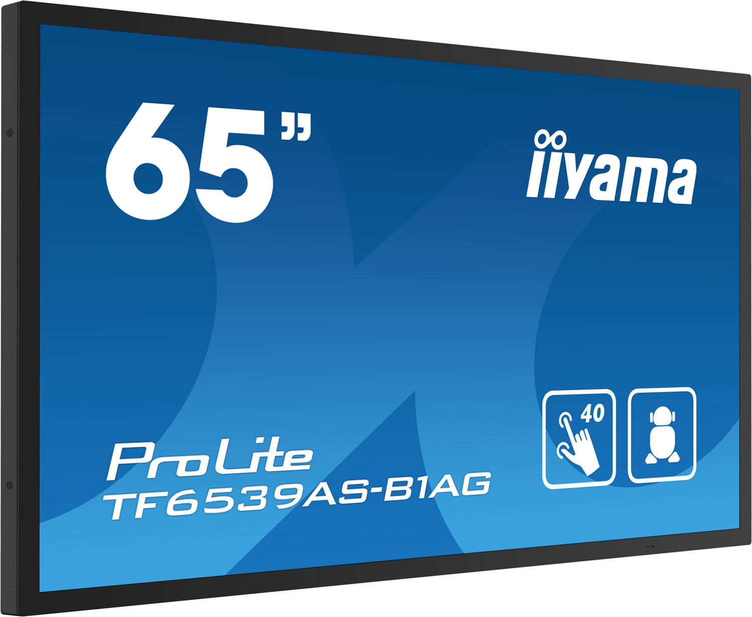 iiyama TF6539AS-B1AG Monitor 65