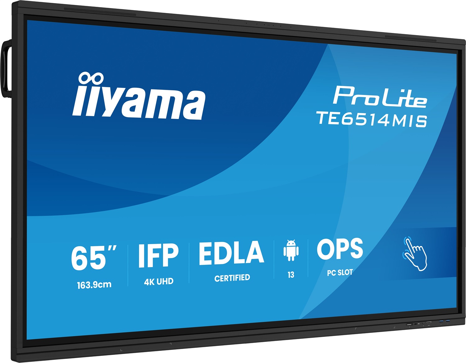 IIYAMA PROLITE TE6514MIS-B2AG Pannello Piatto 65
