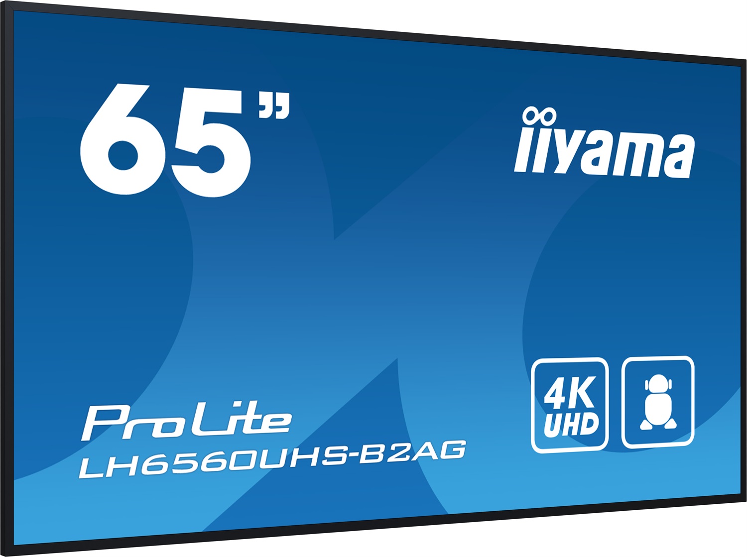 Iiyama LH6560UHS-B2AG Monitor 65