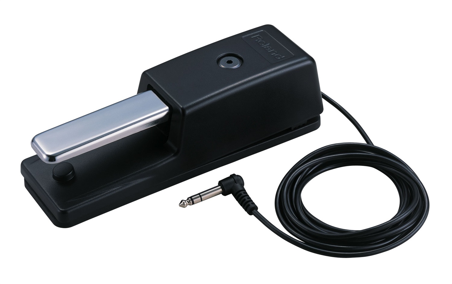 Roland DP-10 Pedale Sustain Damper per Pianoforte - Compatibile con Strumenti Roland, Cavo 2.2m, Gomma Antiscivolo