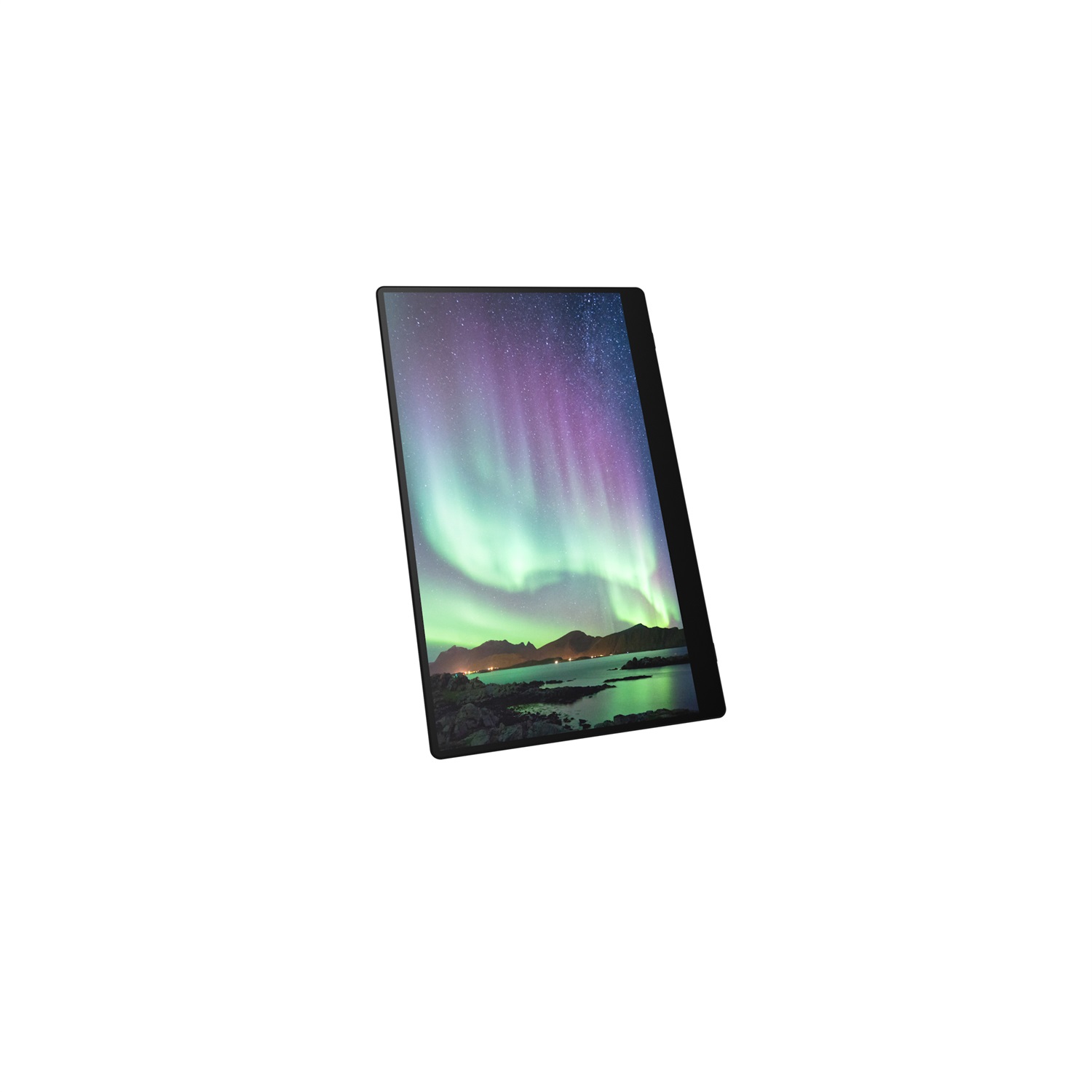 RICOH Monitor Portatile 150 - 15.6
