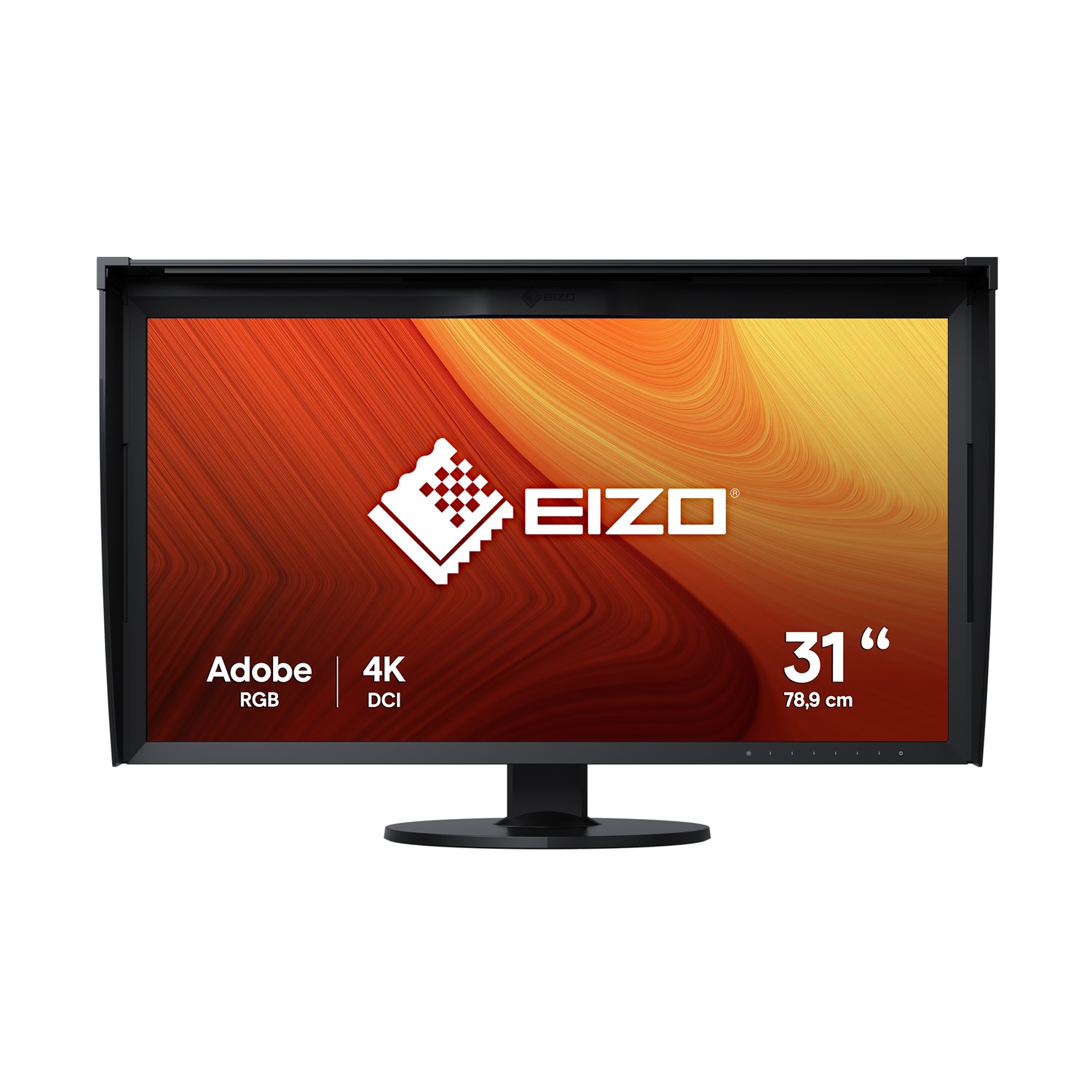 EIZO ColorEdge CG319X Monitor PC 79 cm (31.1