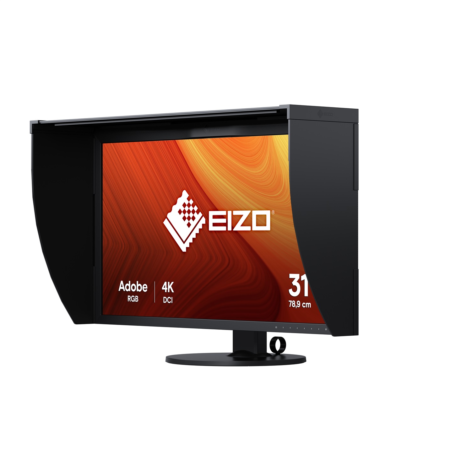 EIZO ColorEdge CG319X Monitor PC 79 cm (31.1