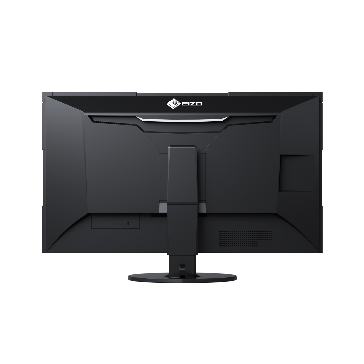 EIZO ColorEdge CG319X Monitor PC 79 cm (31.1