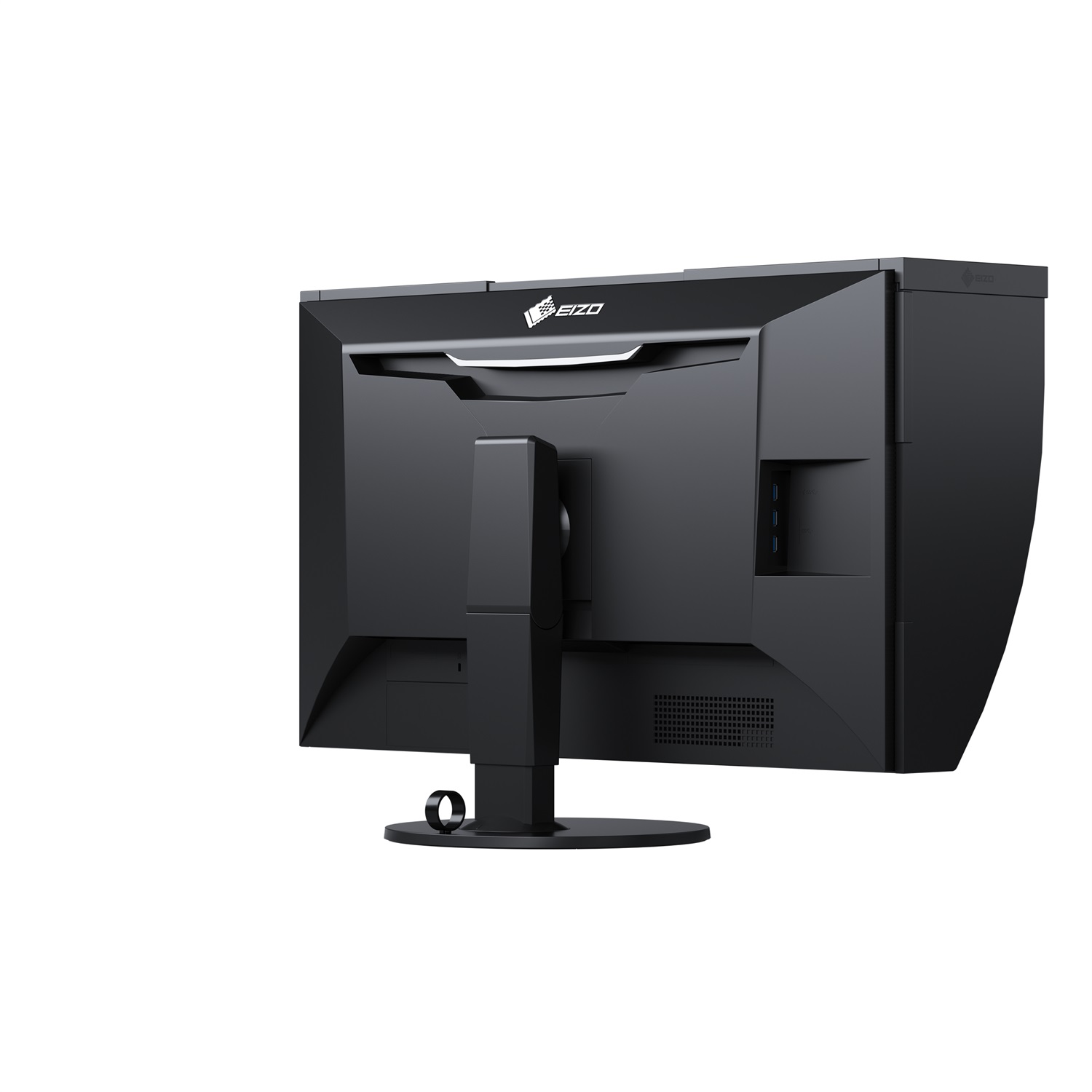 EIZO ColorEdge CG319X Monitor PC 79 cm (31.1