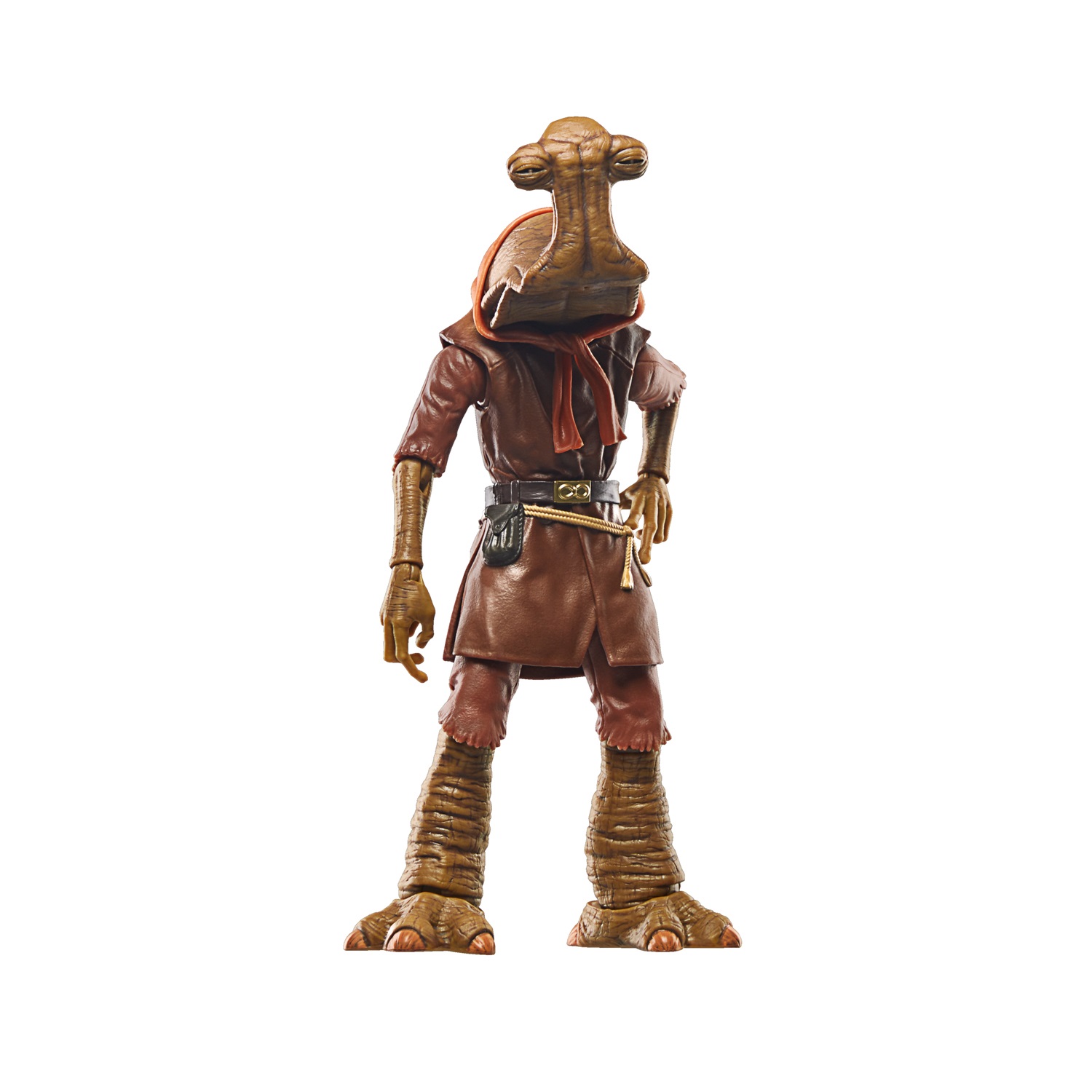 Hasbro Star Wars The Black Series Momaw Nadon - Action Figure Collezionabile Deluxe da 15 cm Ispirata a Star Wars: Una Nuova Speranza