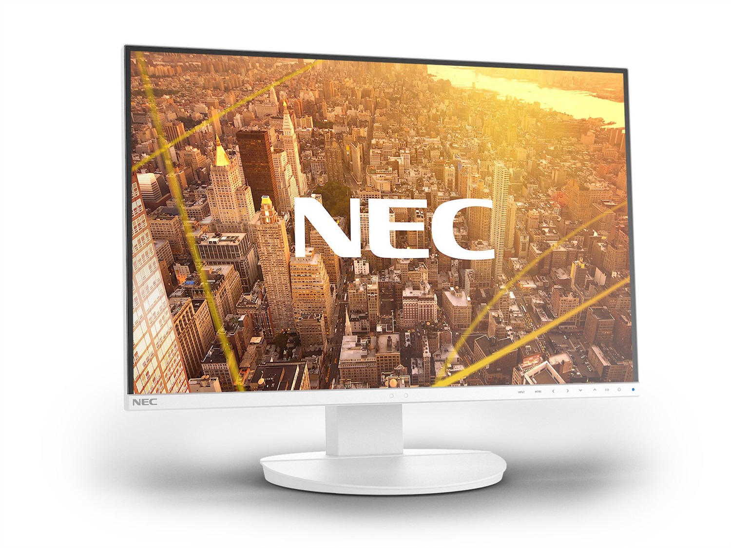 NEC MultiSync EA242WU Monitor PC 24