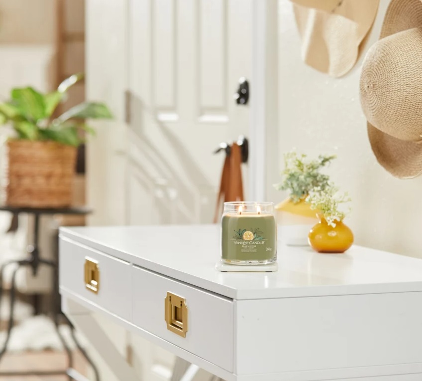 Yankee Candle Sage & Citrus - Candela Profumata Media 368g con Fragranza Agrumata di Salvia, Limone e Lime, Tempo di Combustione fino a 50 Ore