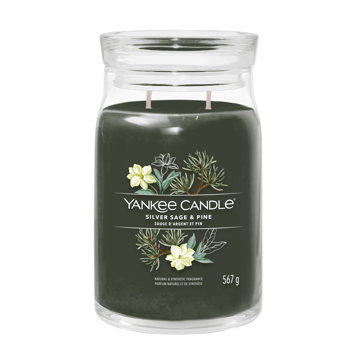 Yankee Candle Giara Grande Silver Sage & Pine - Fragranza Legnosa, Cera di Soia, Tempo di Combustione Fino a 90 Ore