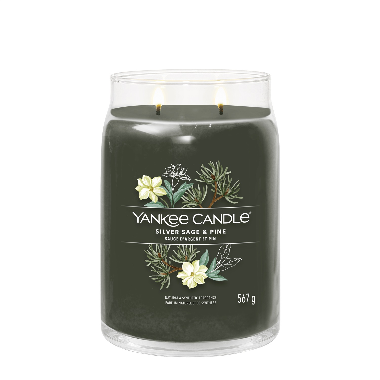 Yankee Candle Giara Grande Silver Sage & Pine - Fragranza Legnosa, Cera di Soia, Tempo di Combustione Fino a 90 Ore