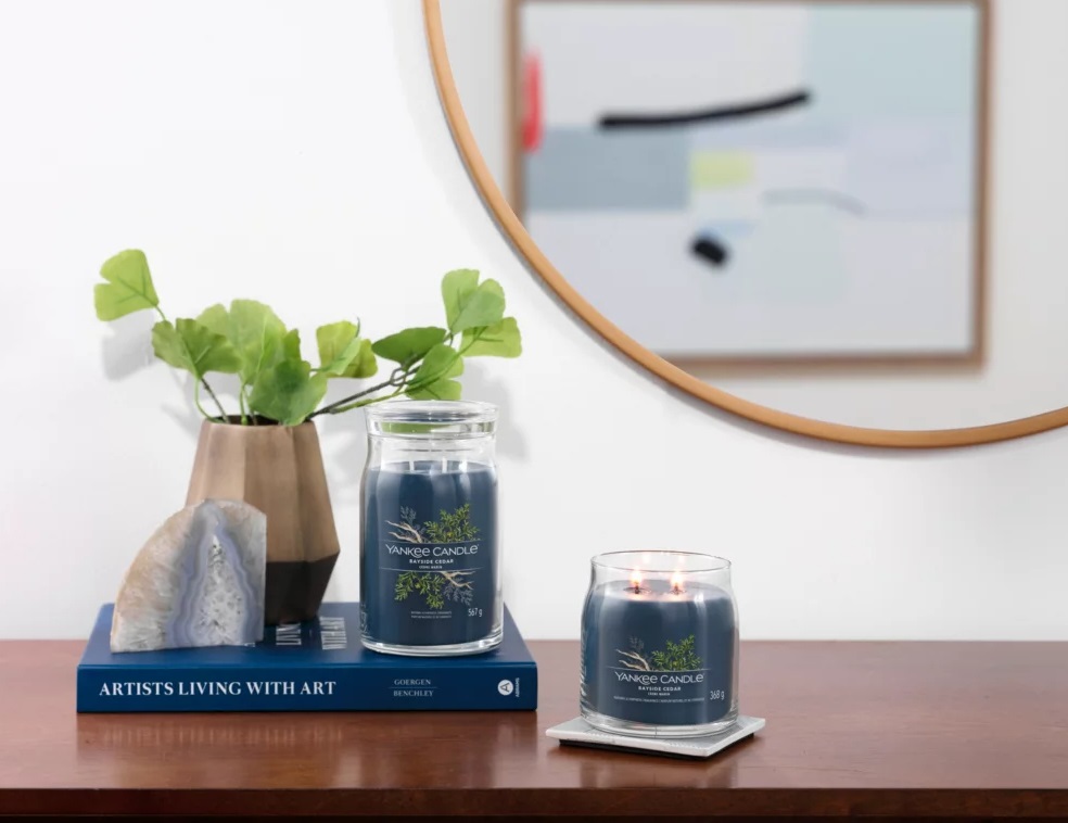 Yankee Candle Bayside Cedar - Candela Profumata Media 368g con 2 Stoppini, Fragranza Fresca e Pulita, Tempo di Combustione fino a 50 Ore
