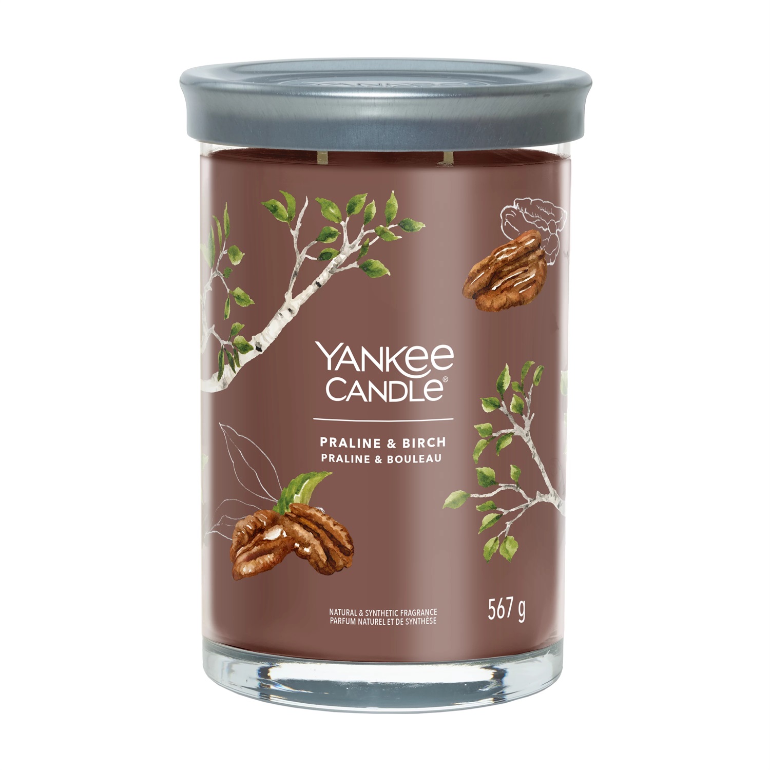 Yankee Candle Signature Candela Profumata Tumbler Grande Praline & Birch 567 g - Note Calde e Speziate, Cera di Soia, 100 Ore di Durata
