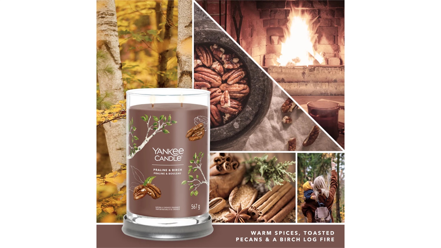 Yankee Candle Signature Candela Profumata Tumbler Grande Praline & Birch 567 g - Note Calde e Speziate, Cera di Soia, 100 Ore di Durata