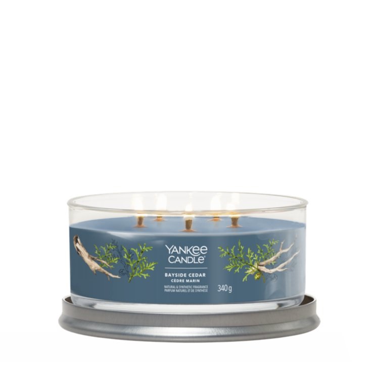 Yankee Candle Bayside Cedar Candela Profumata Tumbler Multi-Stoppino 340 g - Note di Pompelmo, Mandarino e Ambra