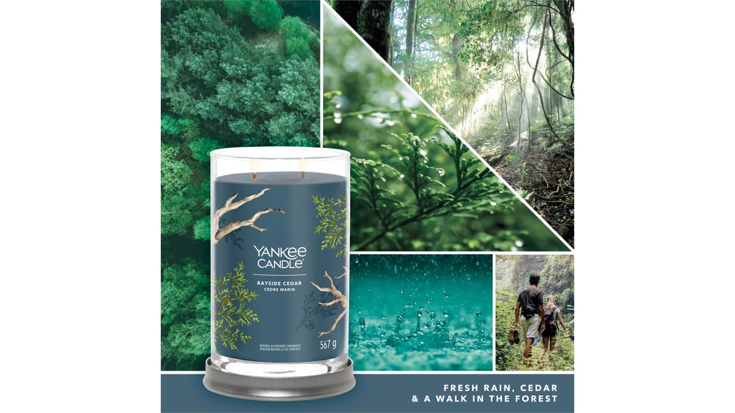 Yankee Candle Tumbler Grande Bayside Cedar 567 g - Candela Profumata con Fragranza Fresca e Pulita, 2 Stoppini, Tempo di Combustione Fino a 100 Ore