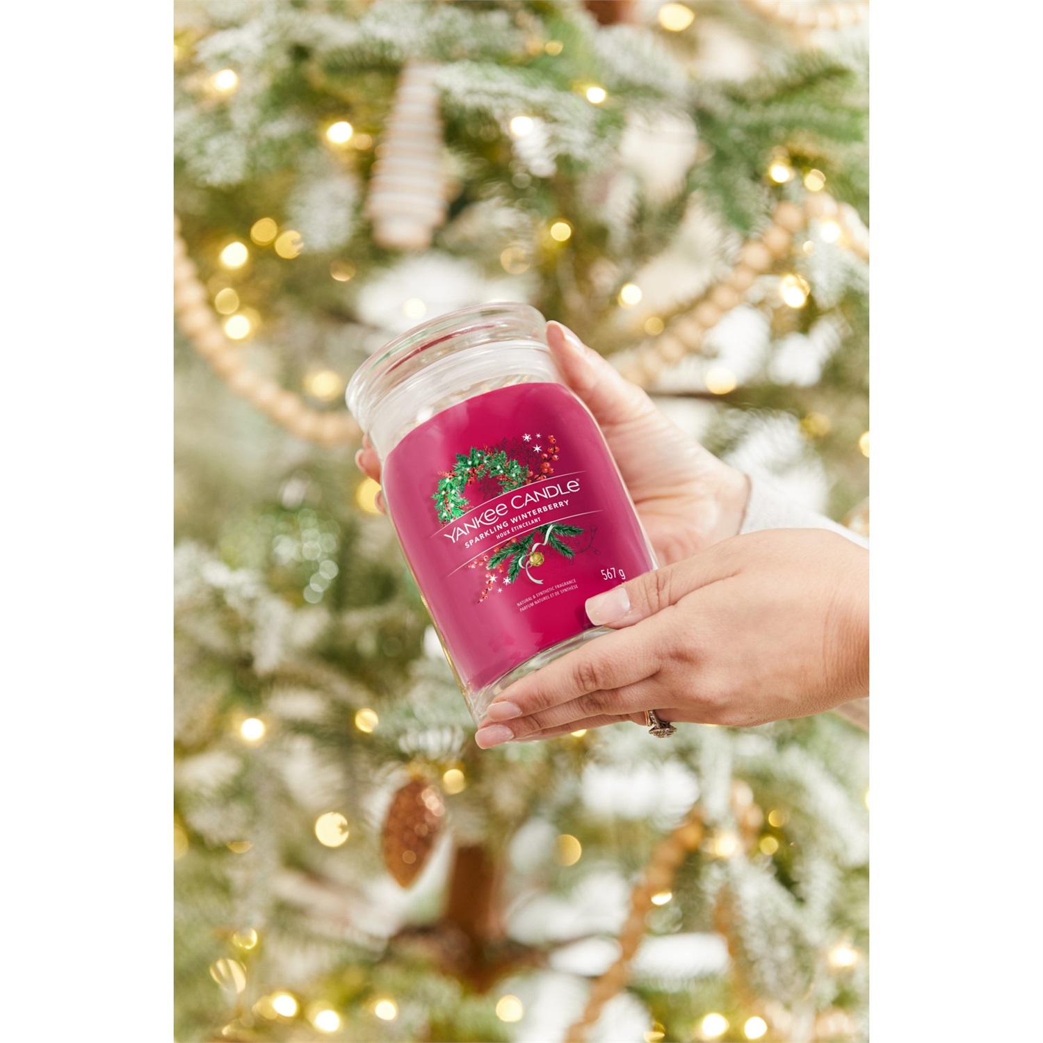Yankee Candle Sparkling Winterberry - Candela Profumata Giara Grande 567 g con note di melograno, abete balsamico e cedro innevato