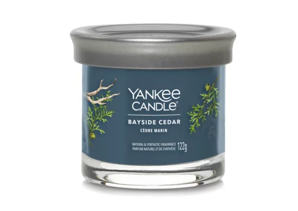 Yankee Candle Bayside Cedar Candela Profumata Tumbler Piccola 122 g - Fragranza Fresca e Pulita