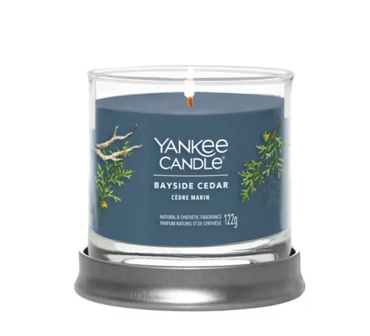 Yankee Candle Bayside Cedar Candela Profumata Tumbler Piccola 122 g - Fragranza Fresca e Pulita