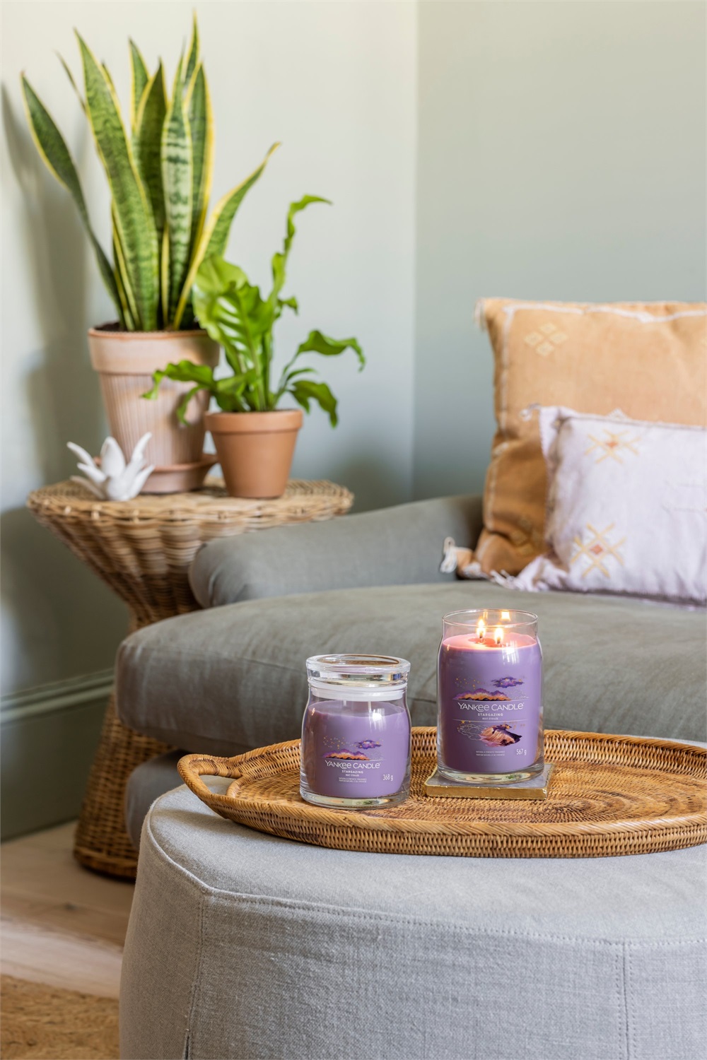 Yankee Candle Stargazing - Candela Profumata Media in Giara da 368 g con Note di Lavanda, Eucalipto e Zucchero Vanigliato