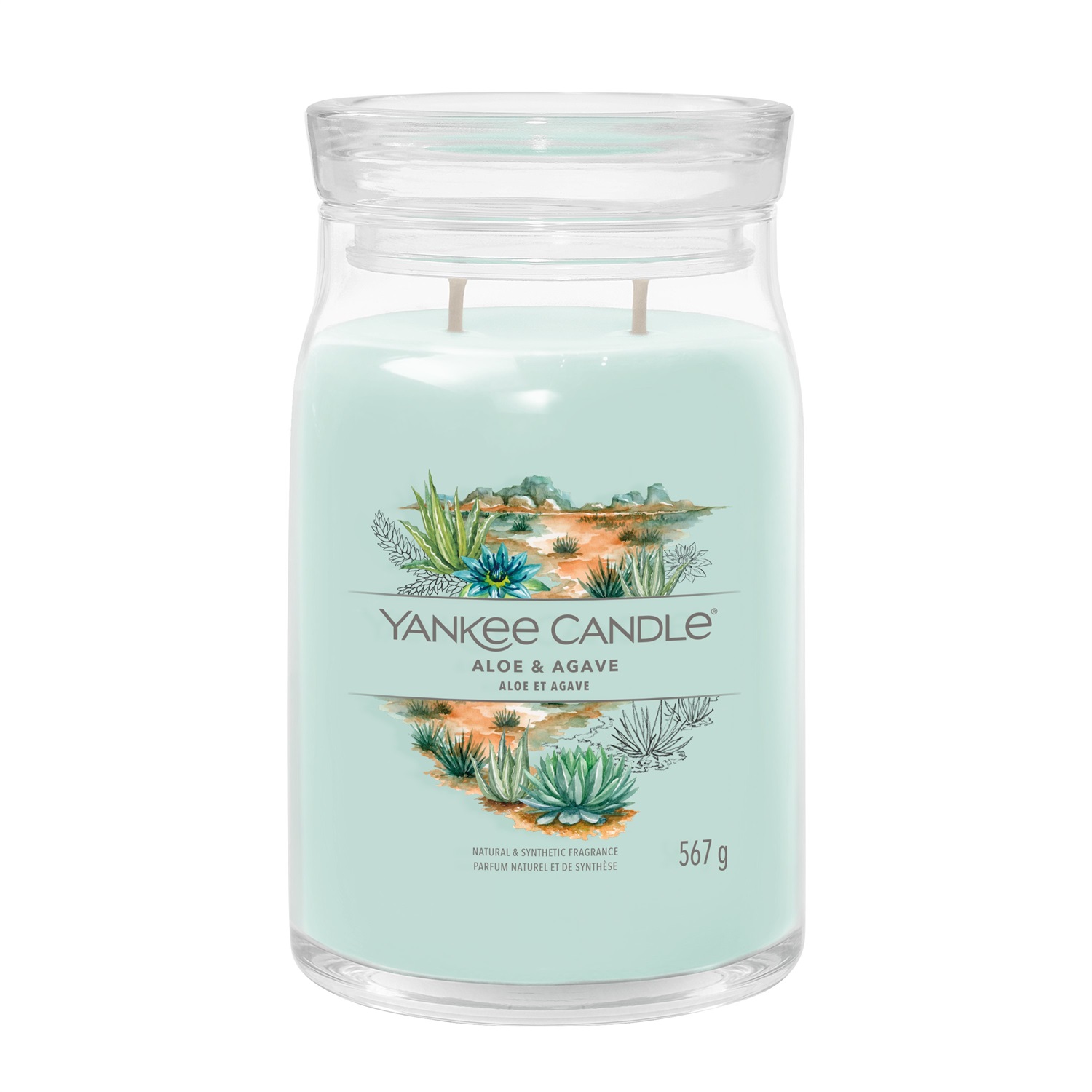 Yankee Candle Aloe & Agave - Candela Profumata Giara Grande 567 g con 2 Stoppini e Tempo di Combustione Fino a 90 Ore