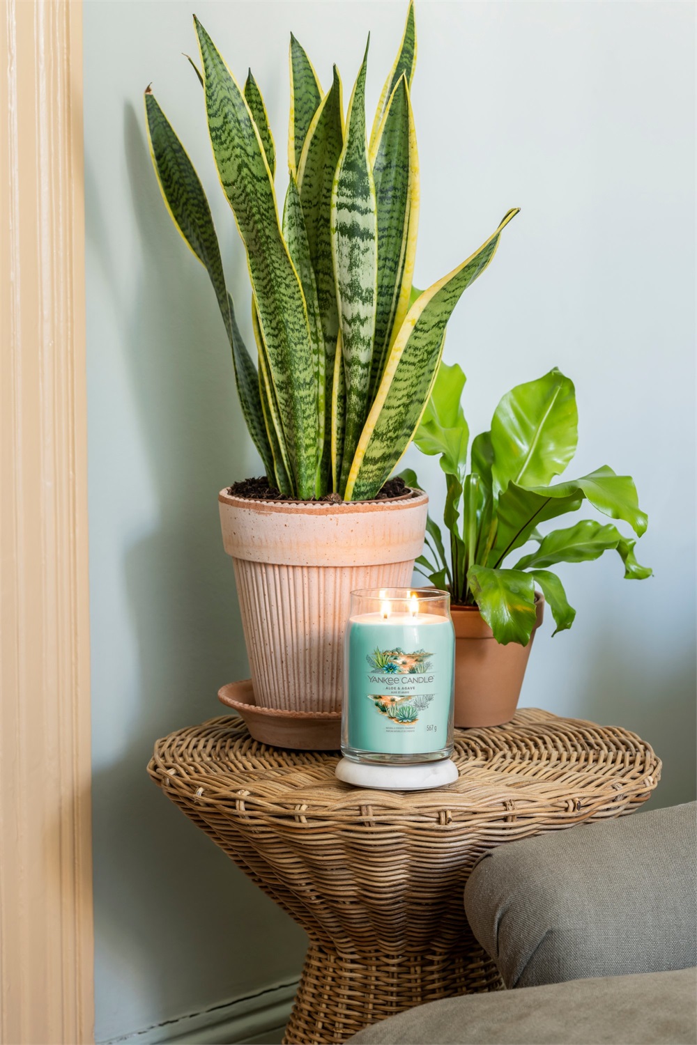 Yankee Candle Aloe & Agave - Candela Profumata Giara Grande 567 g con 2 Stoppini e Tempo di Combustione Fino a 90 Ore