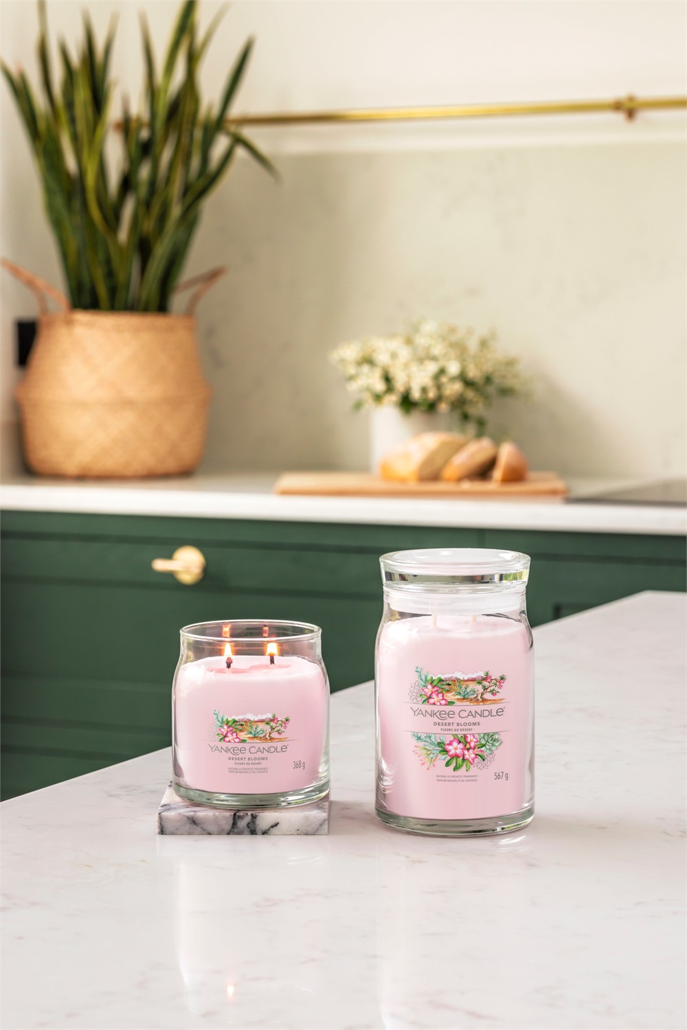Yankee Candle Desert Blooms - Candela in Giara Media 368 g con Fragranza Legnosa e Note di Rosa