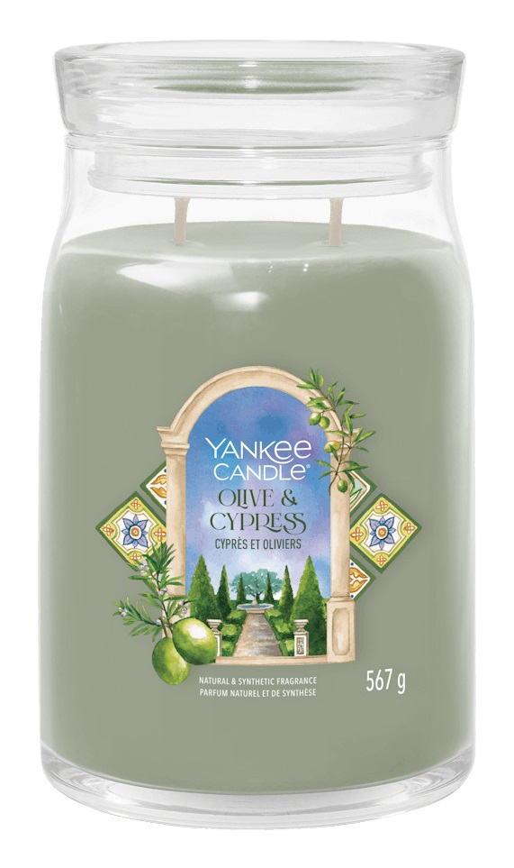Yankee Candle Olive & Cypress - Candela Giara Grande 567 g con fragranza di ulivo e cipresso