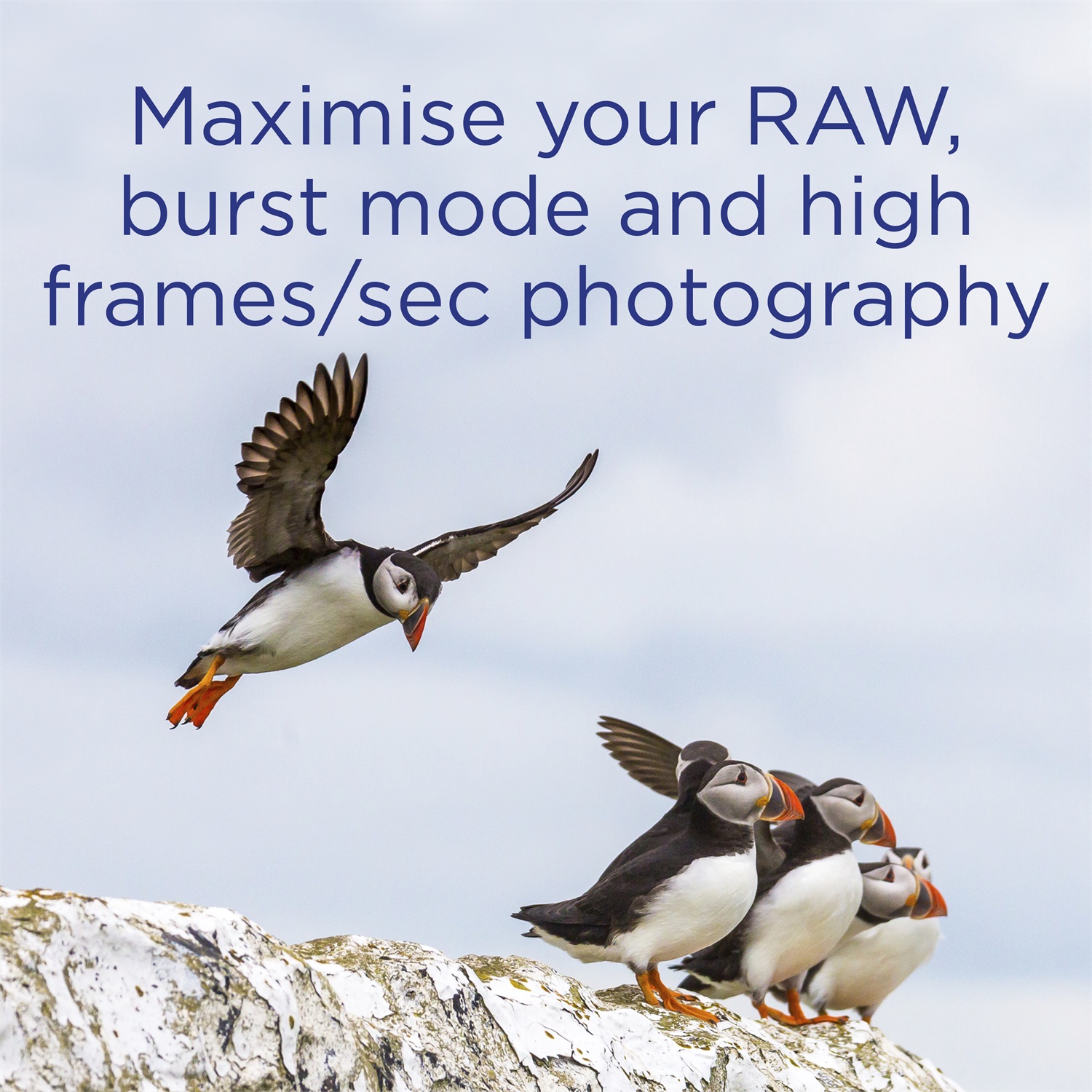 Integral Scheda Flash CompactFlash 128GB UDMA-7 1066X VPG-65 fino a 160 MB/s in Lettura e 135 MB/s in Scrittura