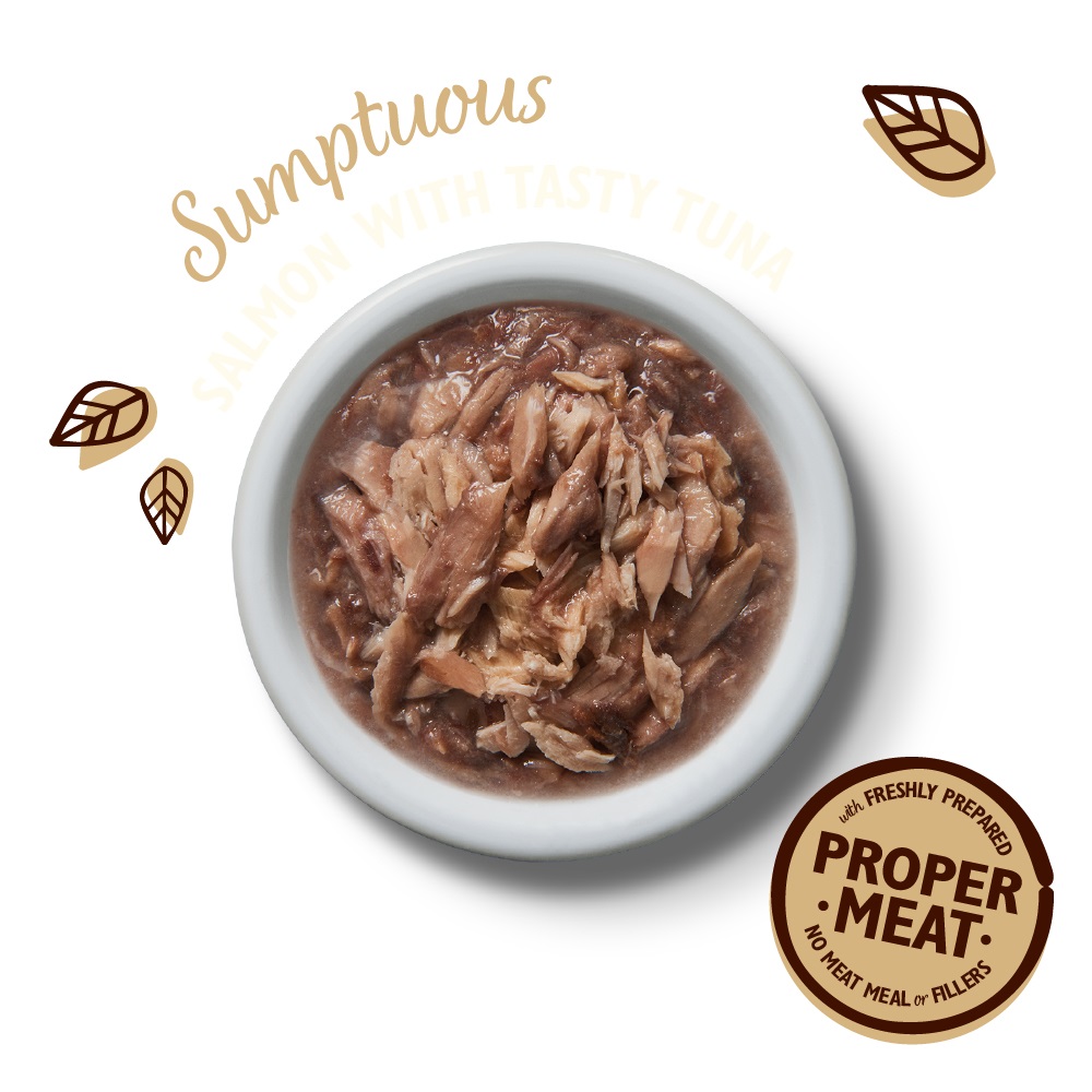 Lily's Kitchen Shredded Fillets Multipack - Cibo Umido per Gatti, 8 Lattine da 70 g, Gusti Assortiti di Pollo, Cozze, Prosciutto, Tonno e Salmone