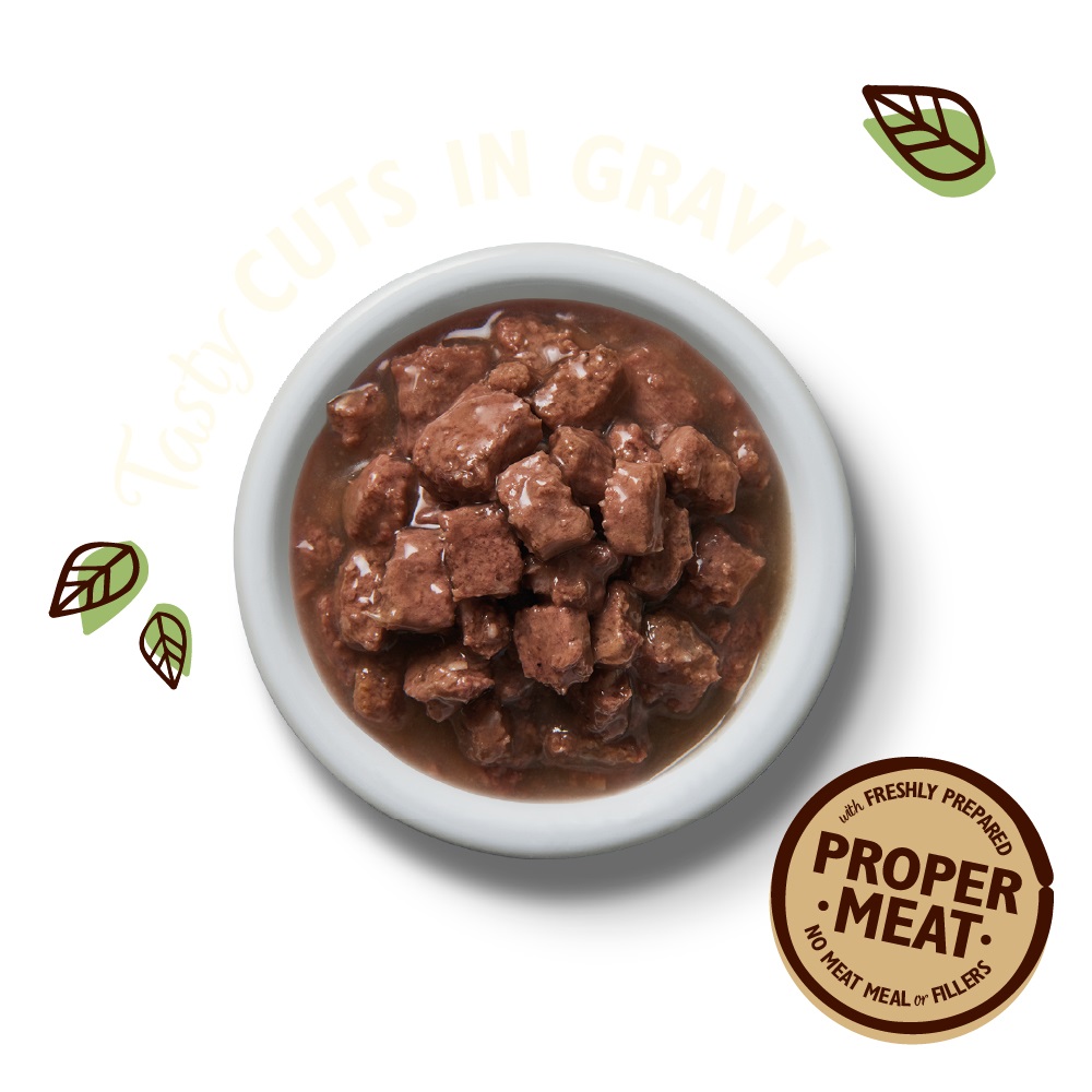 Lily's Kitchen Tasty Cuts in Gravy - Multipack 8x85 g (Pollo, Pesce, Pollo e Salmone, Manzo) - Cibo Umido Naturale per Gatti