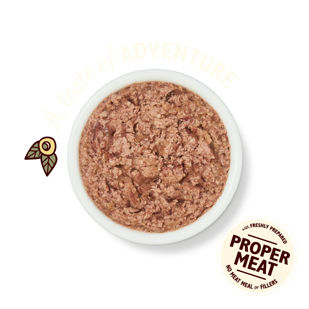 Lily's Kitchen Smooth Paté per Gatti Adulto al Pollo e Selvaggina - Cibo Umido Naturale in Vaschetta da 85 g