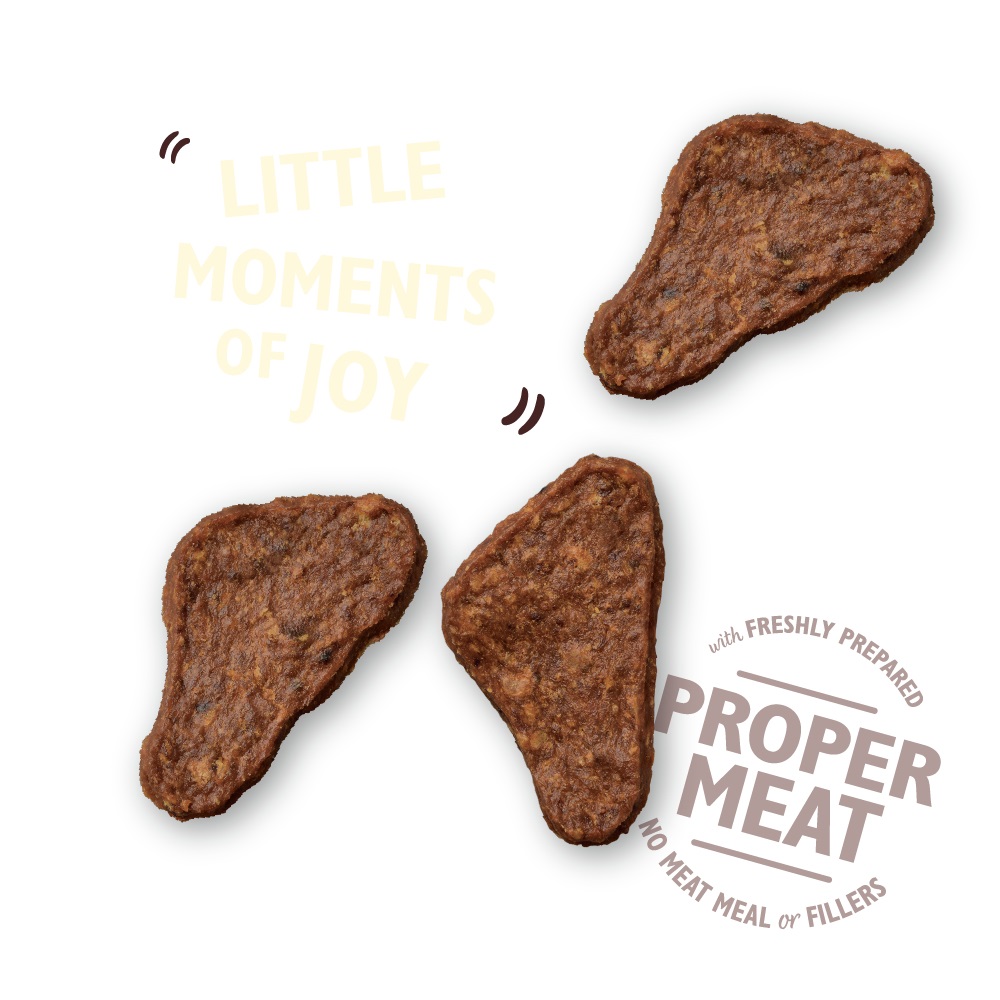 Lily's Kitchen The Mighty Duck Mini Jerky Snack per Cani 70 g - 80% Carne di Anatra, Semi-Umido, Naturale e Senza Glutine
