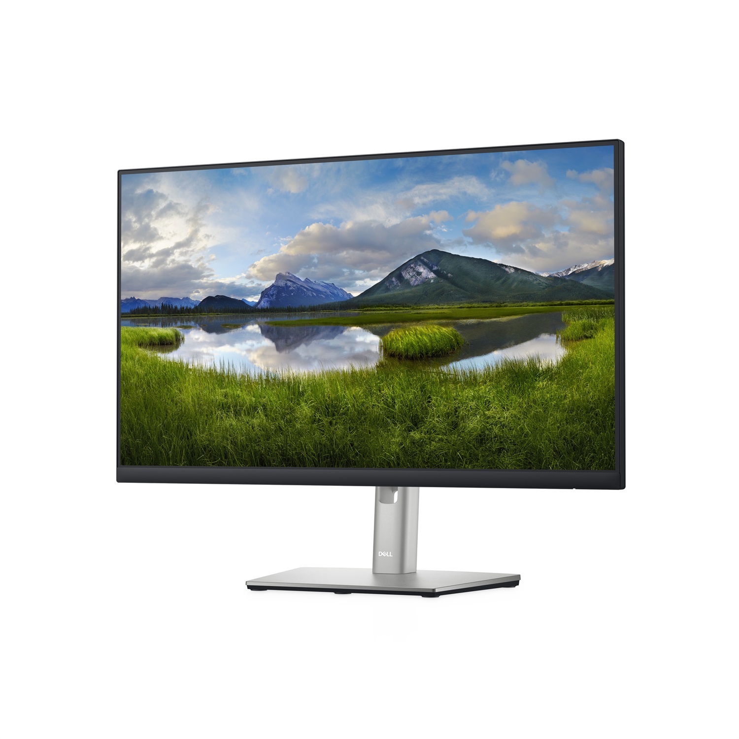 DELL P2422H Monitor 24